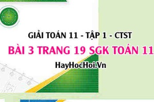 Giải bài 3 trang 19 Toán 11 tập 1 SGK Chân trời sáng tạo